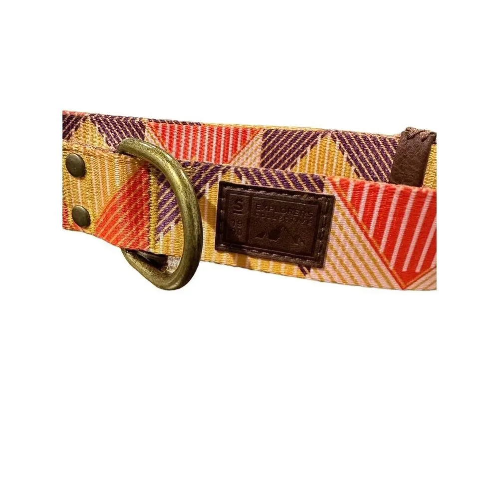 Top Paw Geometric Purple Pink Yellow Fashion Dog Collar XS, SM, Medium, Large‎